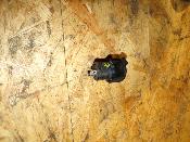 prise 12V