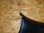 selle