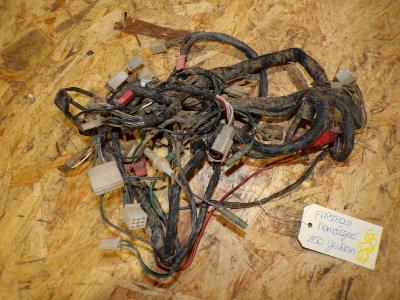 faisceau électrique homologué