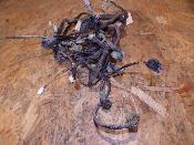 faisceau électrique homologué