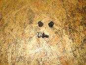 bouton 