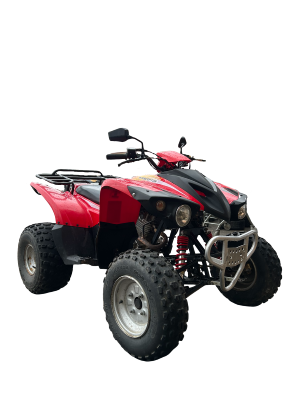300 INTERCEPTOR  2005
