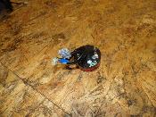 clignotant arrière droit