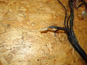 faisceau électrique homologué