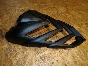 plastron