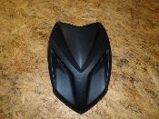plastron