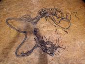 faisceau électrique homologué