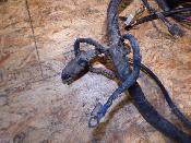 faisceau électrique homologué