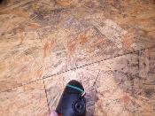 clignotant avant droit 