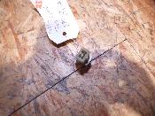 sonde de température