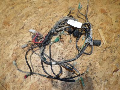faisceau électrique homologué