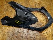 plastron