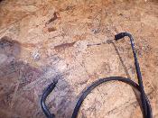 câble d'accélérateur