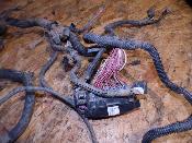 faisceau électrique homologué