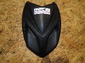 plastron