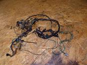 faisceau électrique non homologué