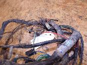 faisceau électrique homologué