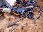 faisceau électrique homologué