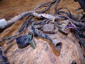 faisceau électrique homologué