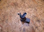 régulateur de tension 