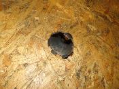 cloche de lanceur