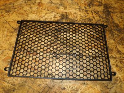 grille de radiateur