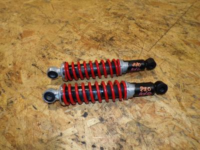 paire amortisseur avant