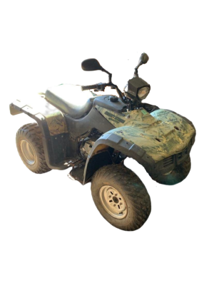 250 ATV DESERT STORM