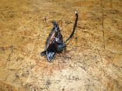 clignotant avant droit 