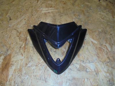 carenage guidon