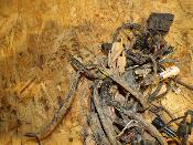 faisceau électrique homologué