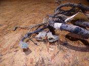 faisceau électrique homologué