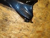 plastron