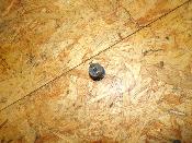 bouton