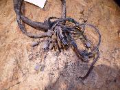 faisceau électrique homologué