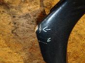 selle