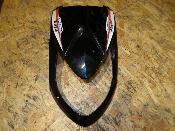 plastron