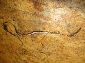 durite d'huile