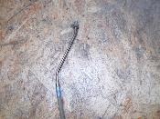 durite de frein 57 cm 