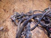 faisceau électrique homologué