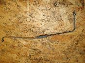 durite d'huile