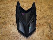 plastron