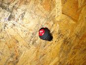 bouton warning