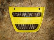 plastron