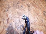 clignotant avant droit 