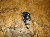 clignotant arrière droit