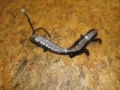 clignotant avant droit 