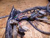 faisceau électrique homologué