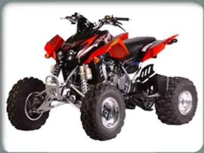 ARCTIC CAT 400 DVX