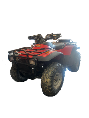 300 ARCTIC-CAT 